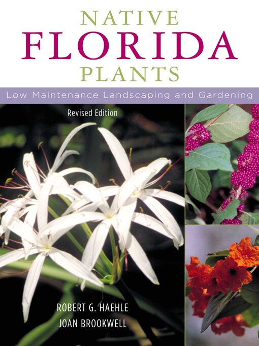 Cover image for Native Florida Plants